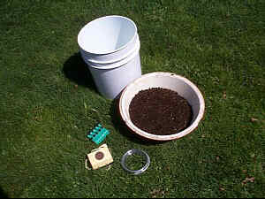 Will Compost Tea Supercharge Your Garden?