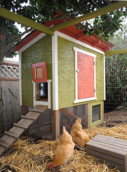 Add A Chicken Coop… Increase the Value of Your Home?