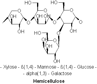 Figure 3 – Hemicellulose
