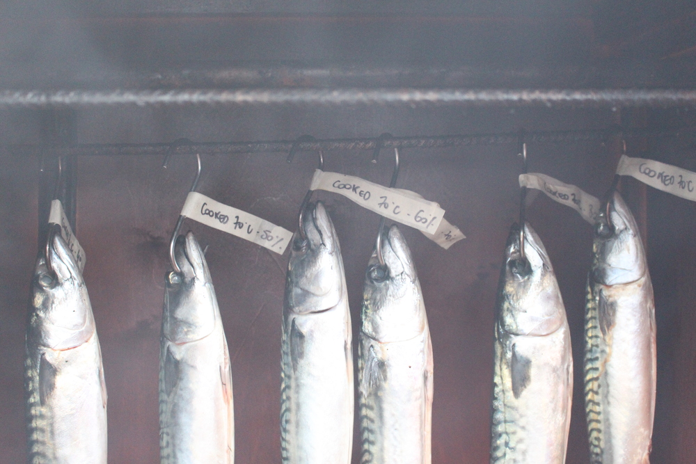 Cold-smoked mackerel recipe