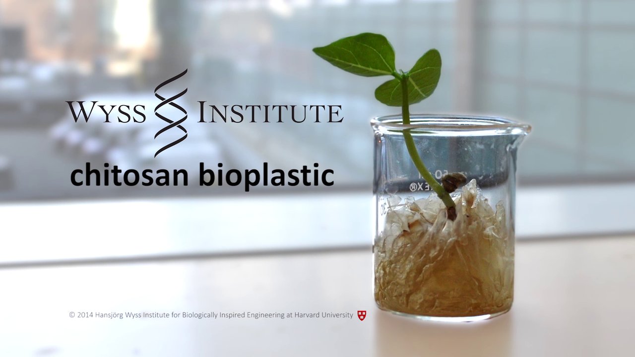 A New Take on Biodegradable Plastic
