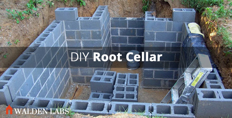 How to Build a Root Cellar in 7 Steps