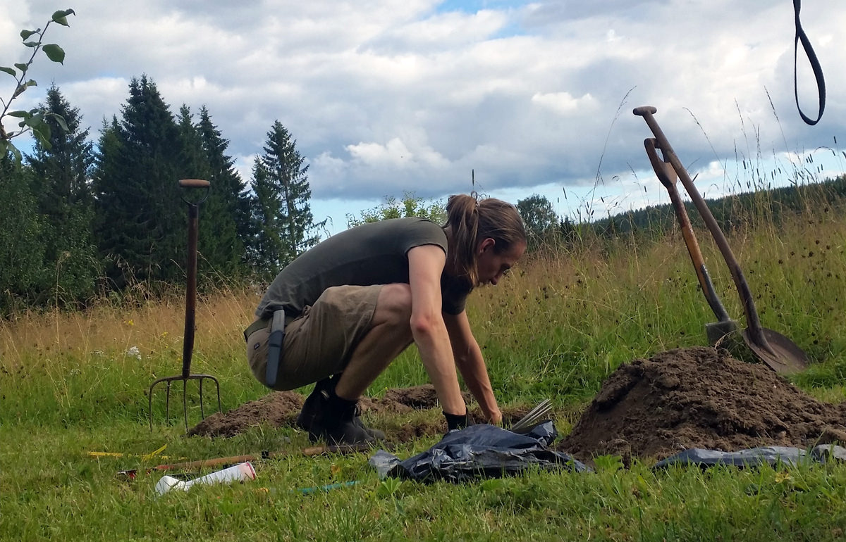 Tree planting ergonomics