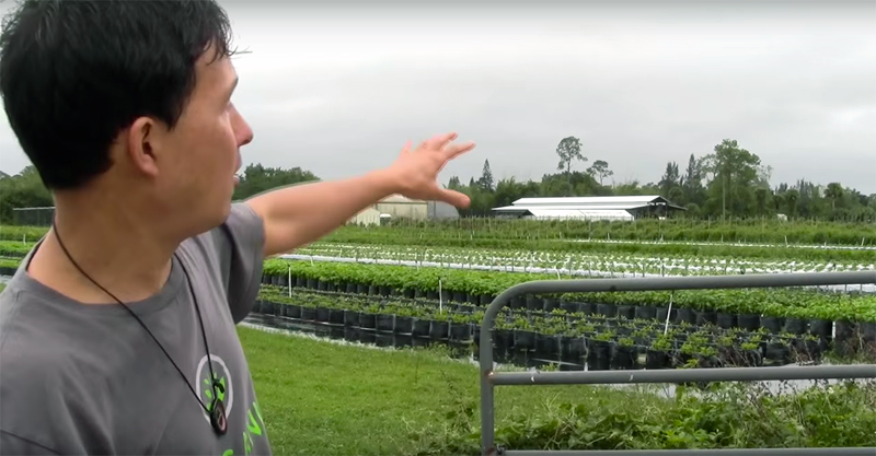 Hydroponic Farm Grows 350 Varieties of Vegetables with 90 minerals